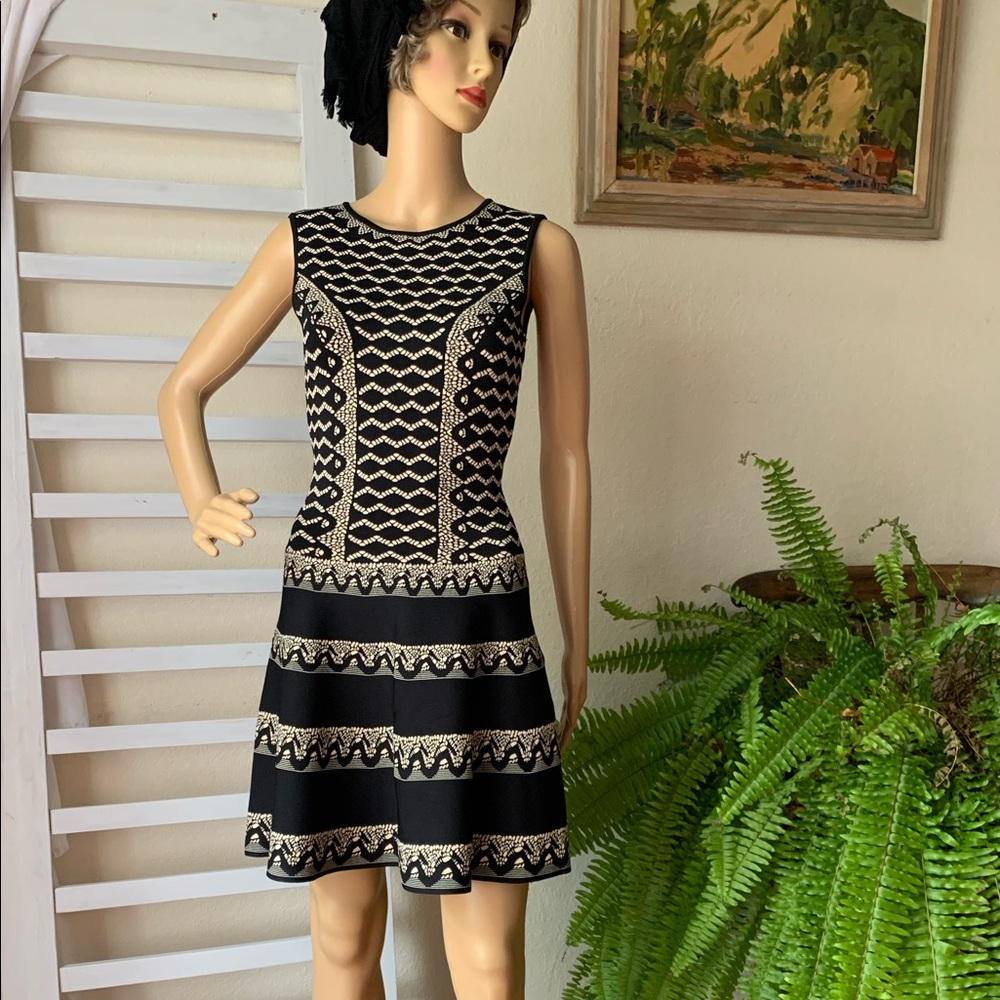 BCBGMaxazria Wilma black nude dress - Picture 7 of 13